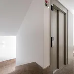 Modern 1br - Brand New Bonjardim I Πόρτο
